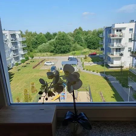 Comfort Del Mar Ii קולובז'ג