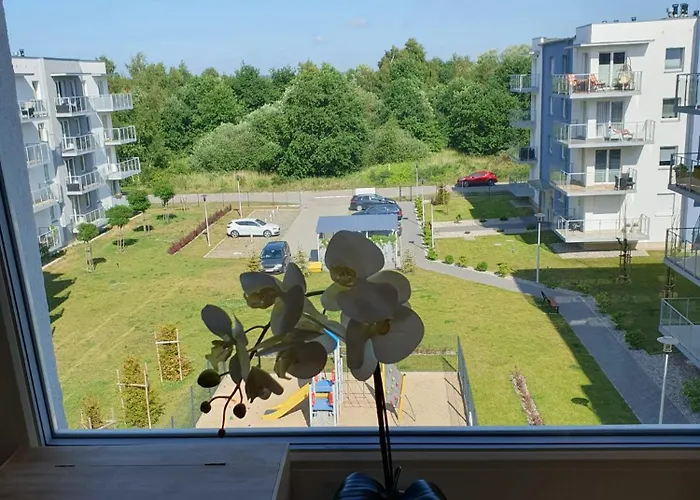 Comfort Del Mar Ii קולובז'ג